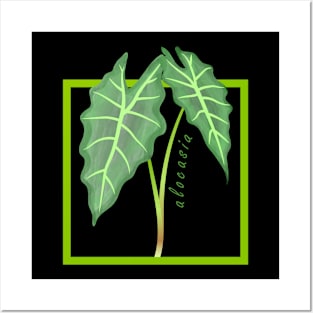 Alocasia Houseplant Leaves Posters and Art